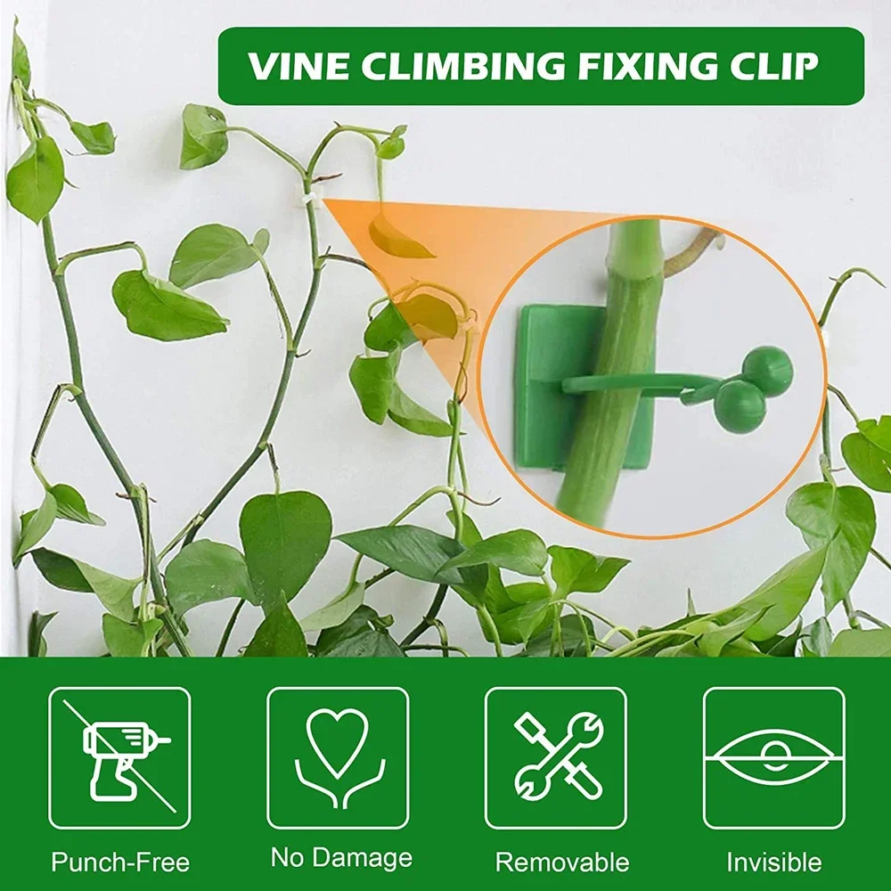 30/50PCS Plant Climbing Wall Self-Adhesive Hook Fixture Clips Invisible Rattan Clamp Fixture Wall Sticky Hook Plant Support