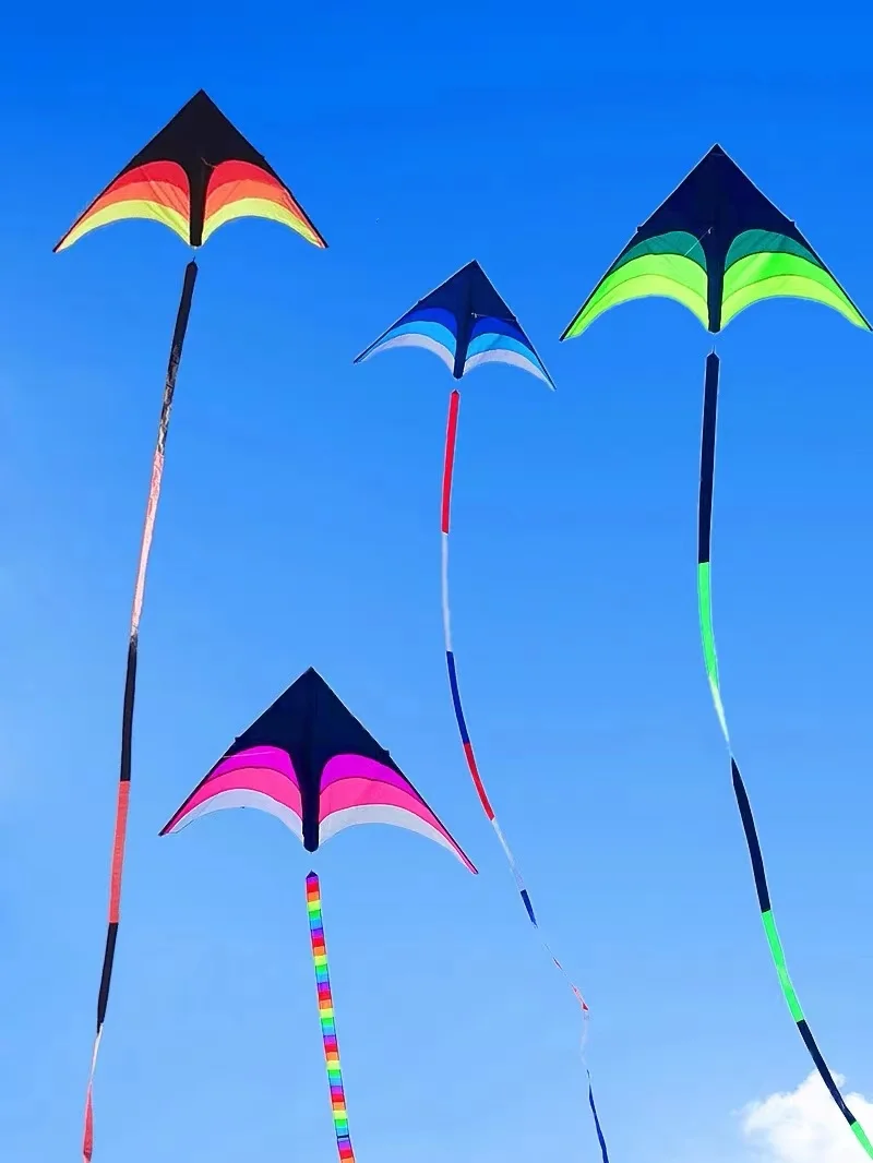 New Children kites flying outdoor fun toys nylon delta kite factory summer toys kitesurf wing kites line wind dragon naish buggy