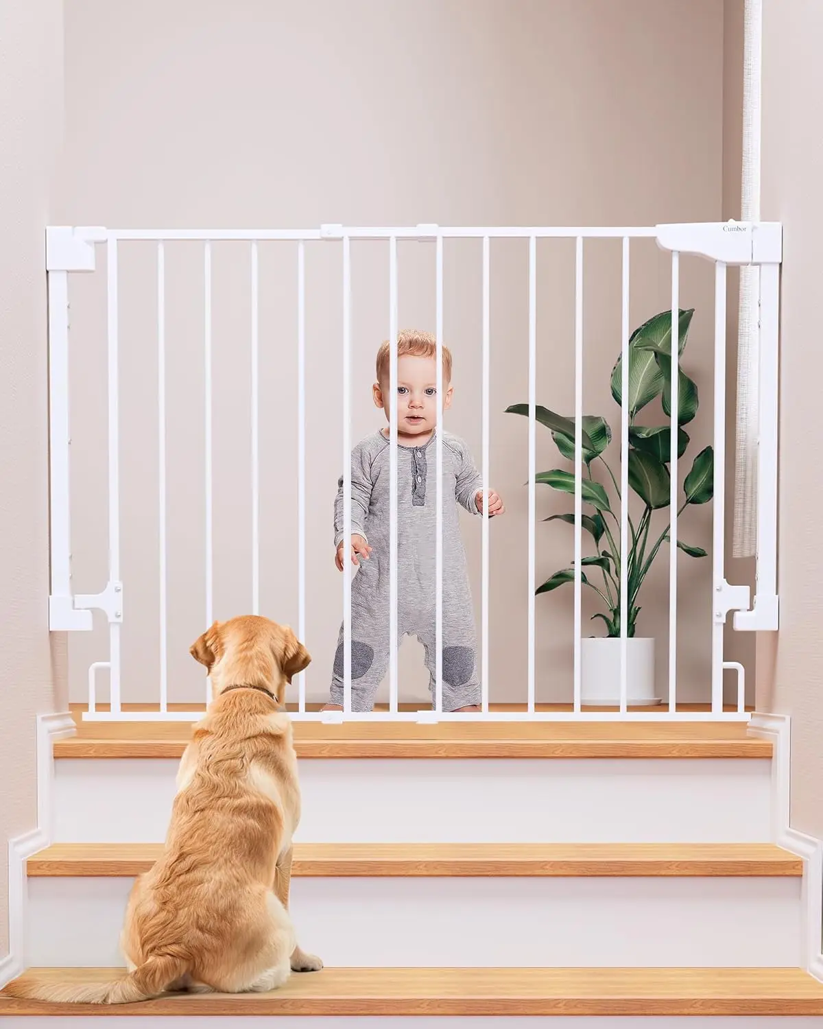 

29.2-43" No Bottom Bar Baby Gate for Stairs, 2-in-1 Hardware Mounted Dog Gate Indoor, Auto Close Pet Gate for Doorways