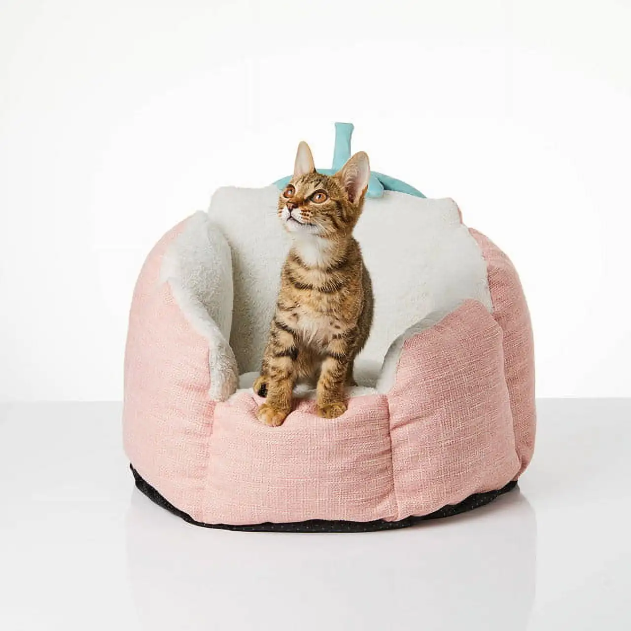 

Strawberry Bed, Bed for Cats, Cat Bed, Durable Pet Bed, Easy Wash Pet Bed, Soft Pet Bed