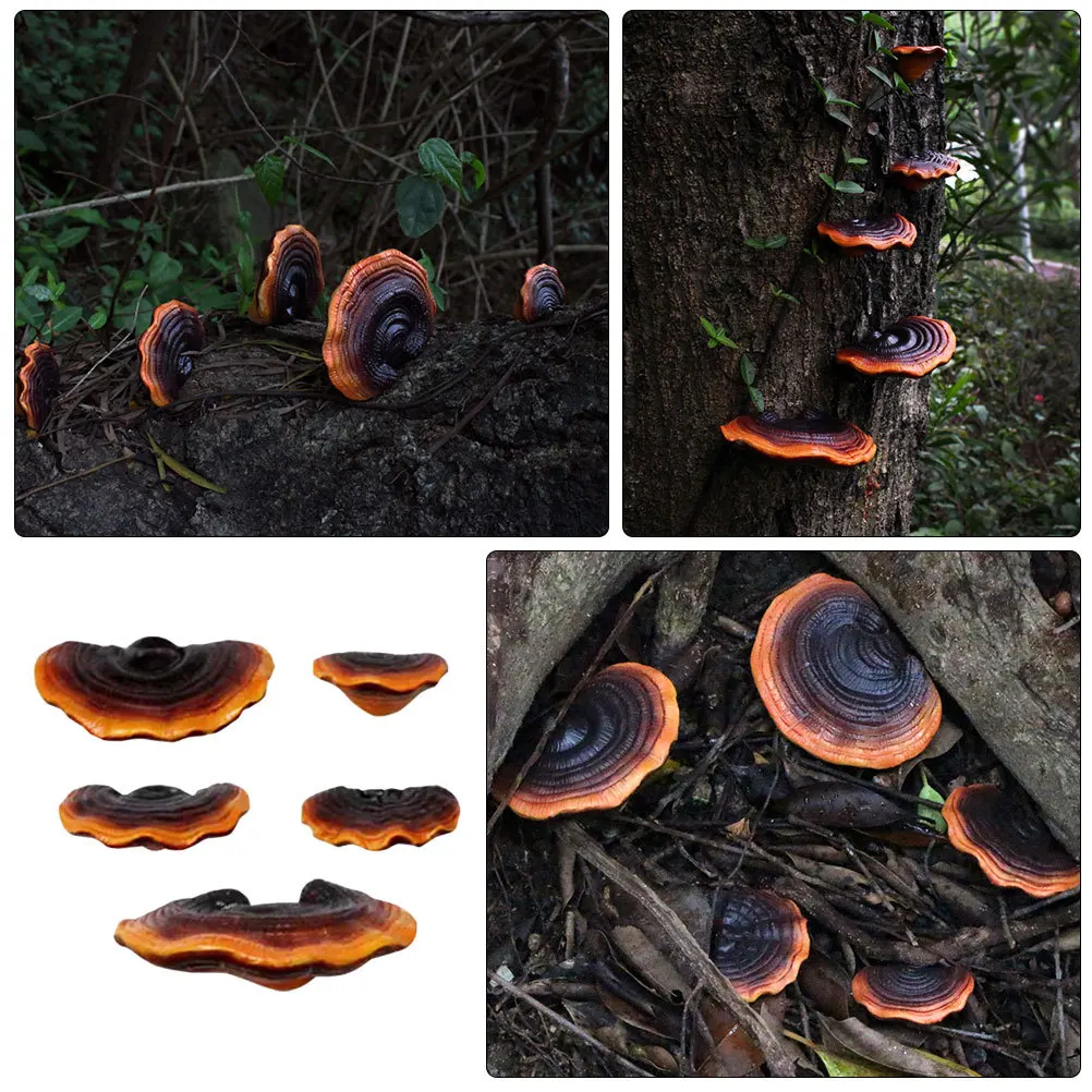 

1Set Ganoderma Resin Mushroom Decorations Miniature Mushroom Ornaments for Garden DIY Micro Landscape Backyard Decor