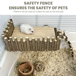 Hamster Climbing  Handcrafted Pet Activity Playground Stable Structure Increase Exercise Chewing  for Golden Bear