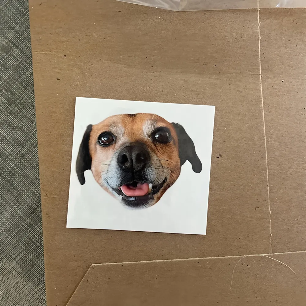 Tatouages temporaires de visage personnalisés, cadeaux de fête d'anniversaire d'enterrement de vie de jeune fille, cadeau drôle, chiens découpés de visage personnalisés, animal de compagnie grand