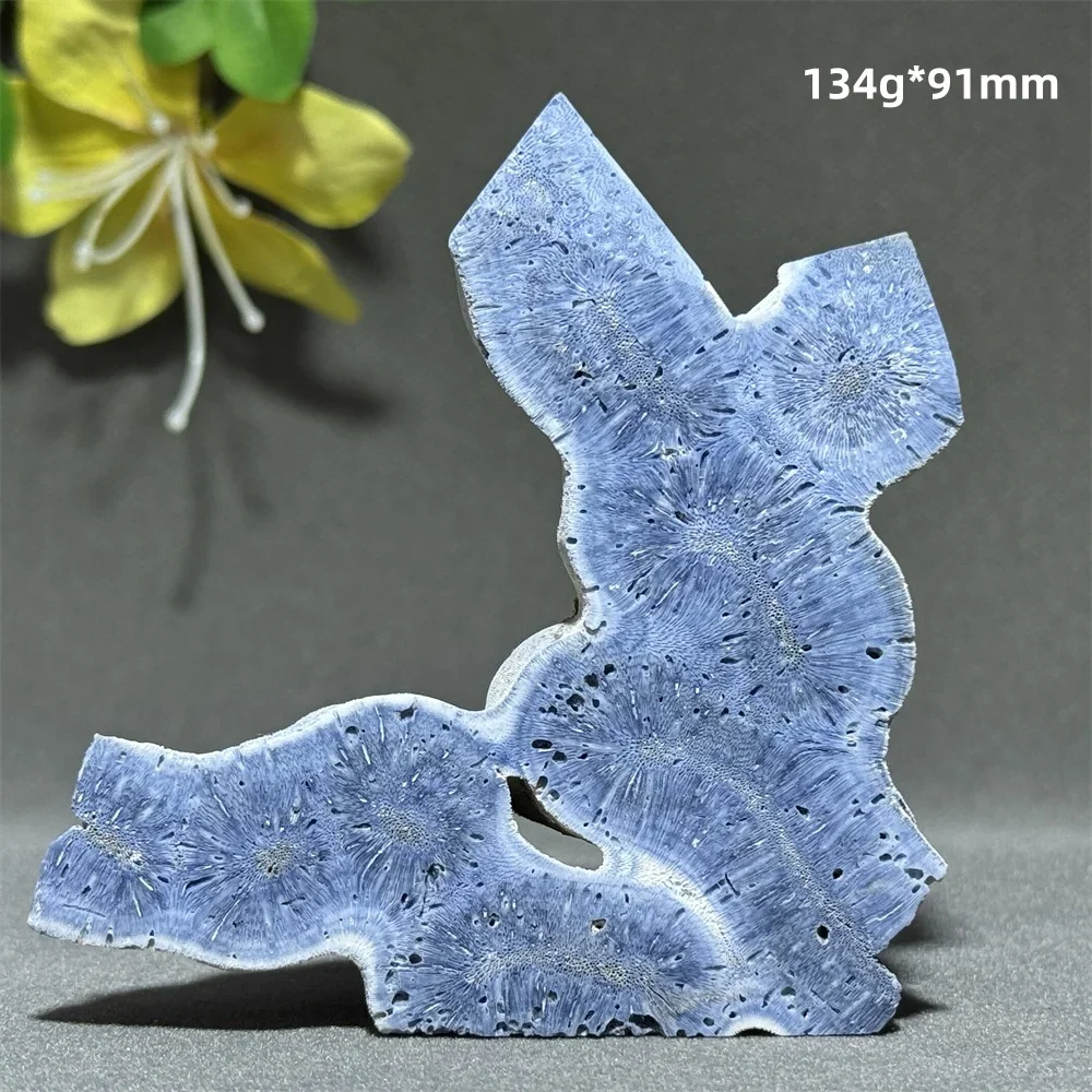 Natural Blue Coral Mineral Specimen Free Form Reiki Healing Energy Home Decoration Collection Crafts Gifts
