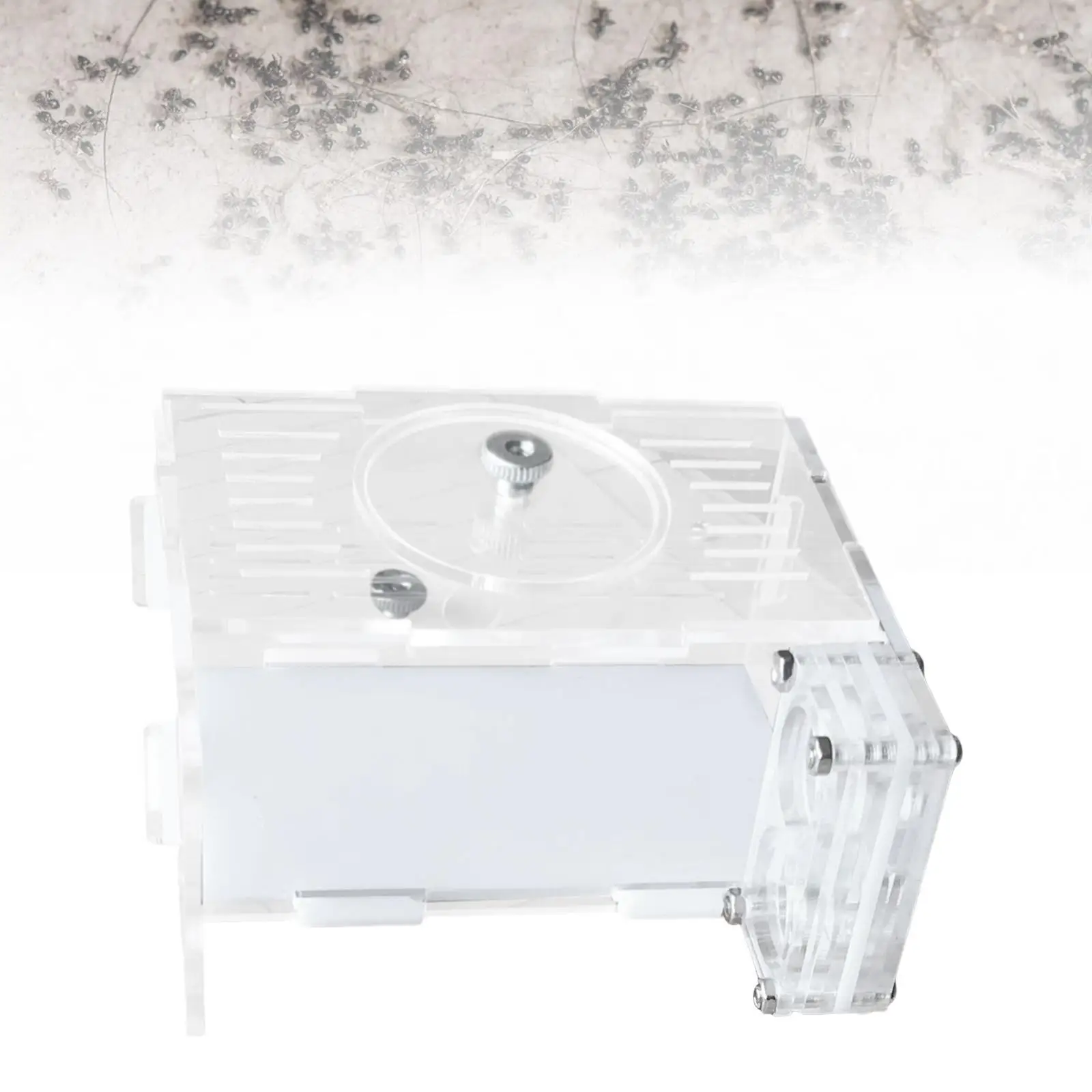 

DIY ANT фермерский дом сельский замок прозрачный простой в установке муравей вивариум развивающая игрушка для дома научное наблюдение школа