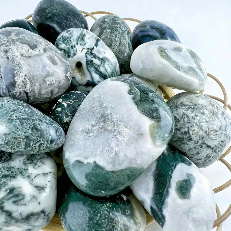 Natural Moss Agate Crushed Sto - Echeveria Succulent avis et prix