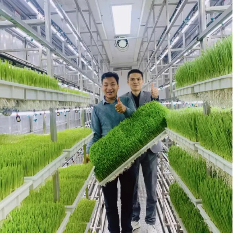 Contenitore per sistemi di ricerca idroponica per sistemi di coltivazione idroponica agricola