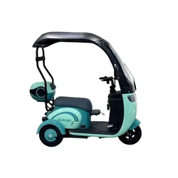 China Manufacturer Adult Elderly Passenger Mobility  Fat Tire Three Wheels Electric Tricycle with Roof