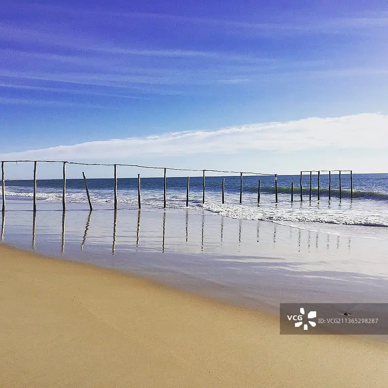 

JJRC C8805 RC Car 4WD Thunder High Speed Off-road Vehicle Brushless/carbon Brush Four-wheel Drive Thunder off-road Vehicle Toy