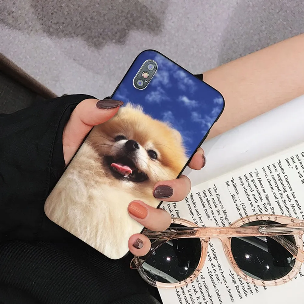 Cute Pomeranian Dogs Phone Case For iPhone 15 14 11 12 13 Mini Pro XS Max Cover 6 7 8 Plus X XR SE 2020 Funda Shell