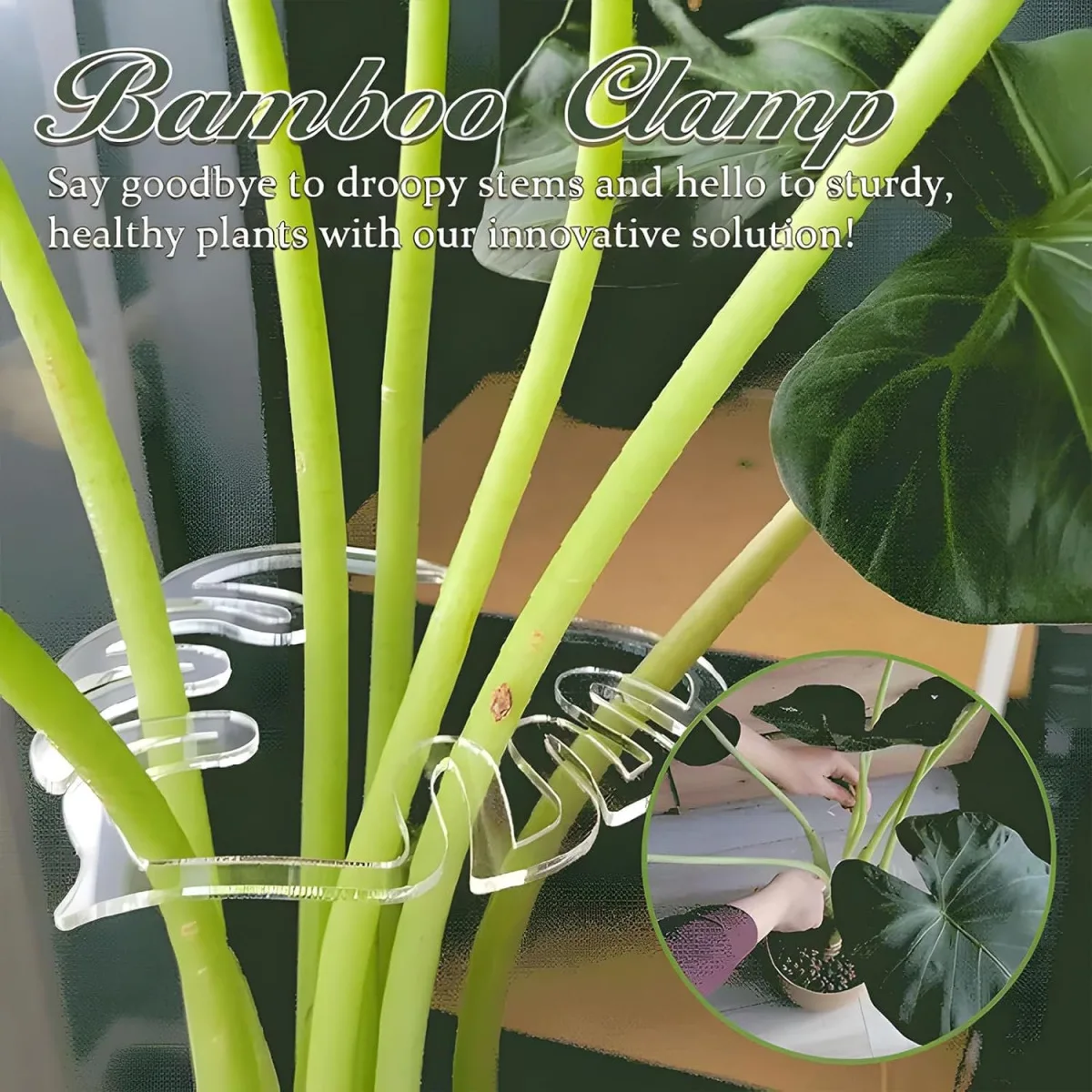 

Turtle Shell Bamboo Clamp Set, Plant Roots Holder, Garden Tools Plant Supports,Household Plastic Plant Stand