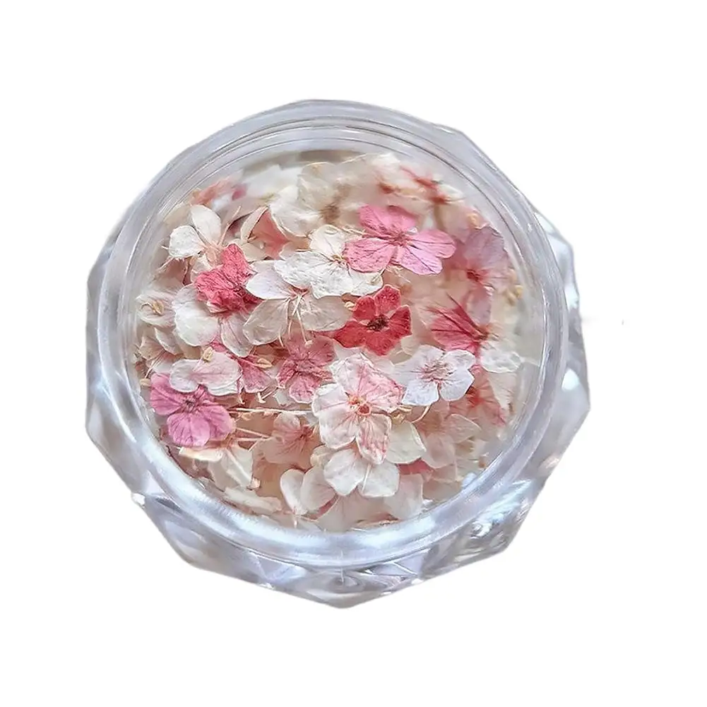 Getrocknete Blumenmaterialien für Nägel, romantische Monet-Garten-Farbpalette, lebendige Accessoires, Wildblumen-Nagelkunst-Dekorationen, Werkzeuge