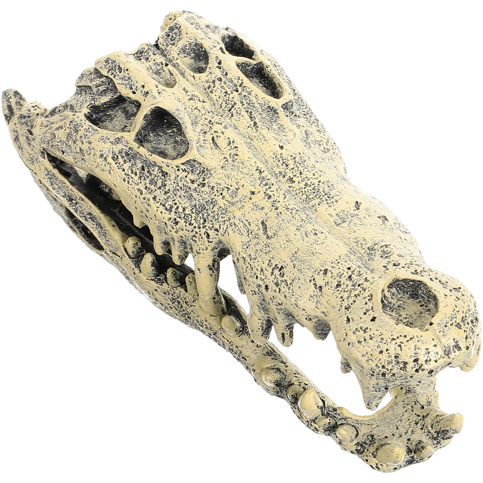

Resin Dinosaur Skull Statue Decorative Figurine Home Office Adornment Desktop Premium Material Durability