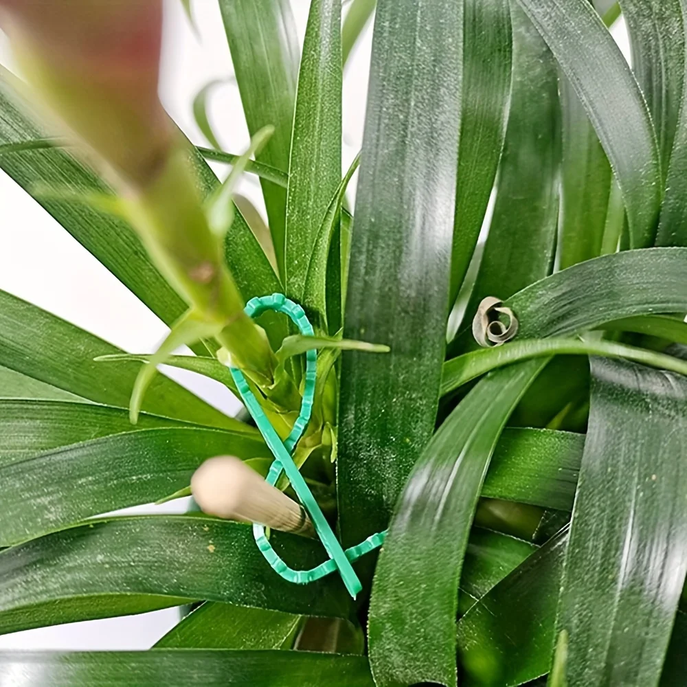 أربطة نبات بلاستيكية قابلة لإعادة الاستخدام وقابلة للتعديل للحدائق، الكروم، الأشجار، الشجيرات، الدعم، التثبيت، القفل، منظم سحّاب من النايلون، أدوات عالية الجودة، متينة، سهلة الاستخدام، لتنظيم النباتات والكابلات.
