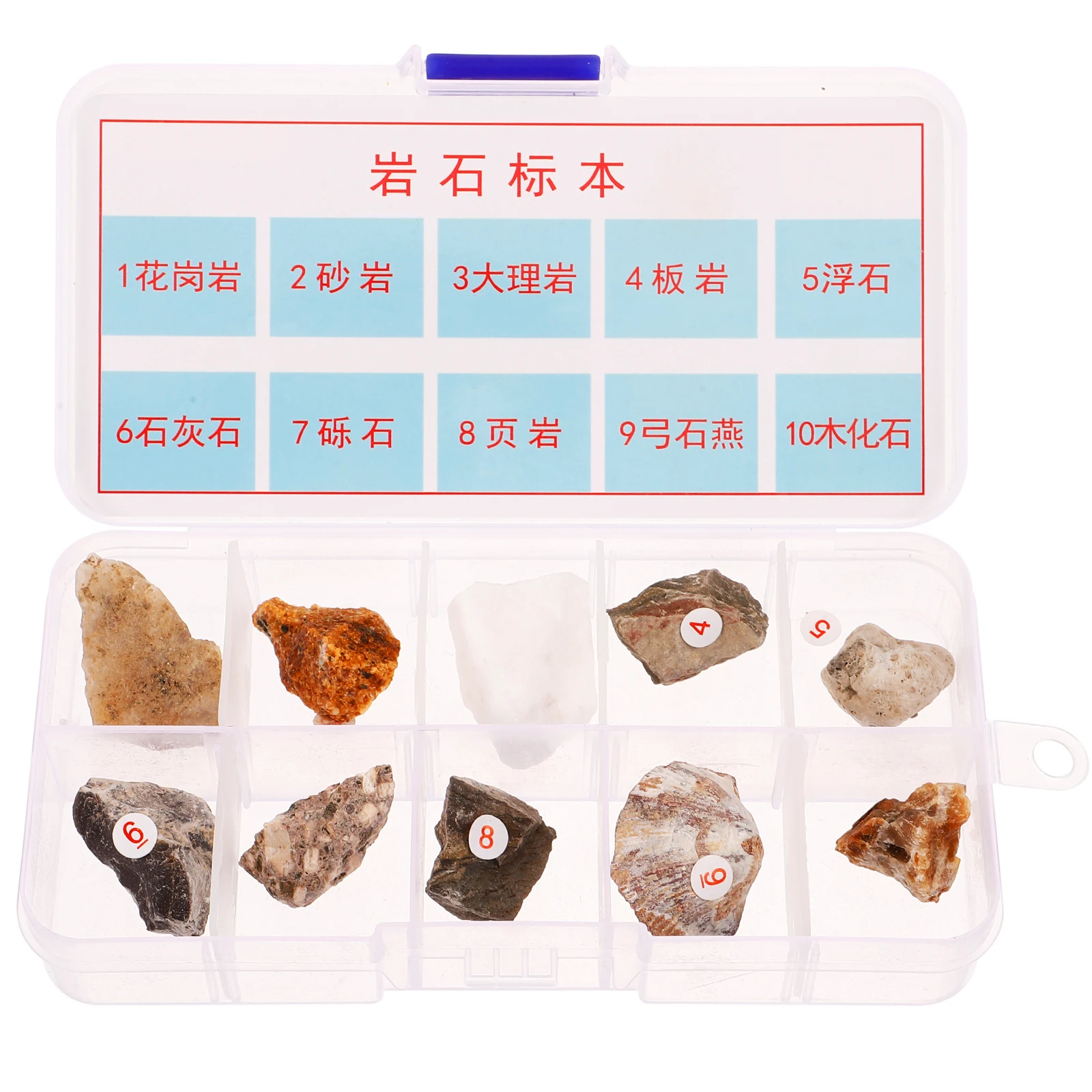 Mineral Rock Specimen Teaching Aids Number Memorial Garden Stone Primary School
