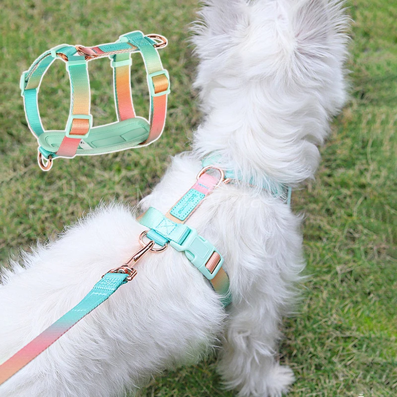 soft-padded-gradient-dog-harness-leash-set-escape-proof-adjustable-nylon-h-type-pet-chest-harness-for-small-medium-large-dogs