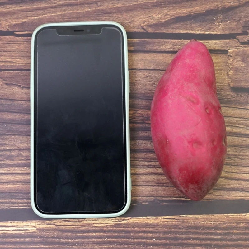 Realistic Sweet Potato Model Props Simulation Sample Window Display Fake Foam Vegetables for Home Decor Early Education