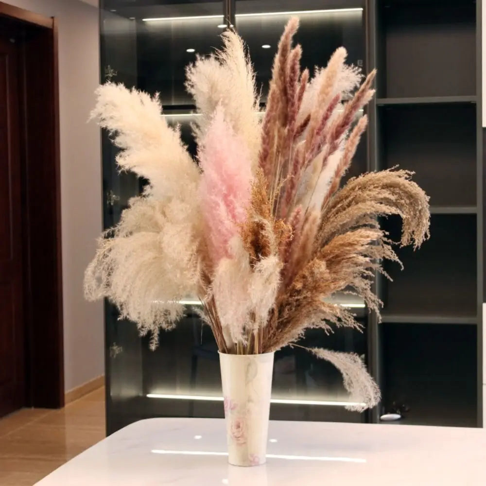 45cm Creative Flower Arrangements Natural Dried Flowers Dried Reed Natural Pampas Grass Bouquet