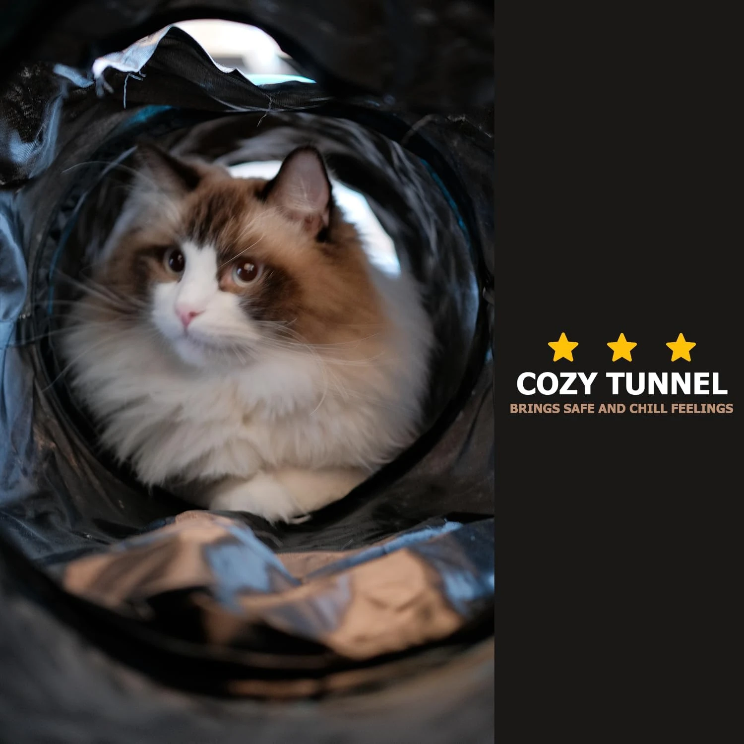 Soft, Cozy, and Comfortable Ultimate Large Cat Tunnel Toy - Hassle-Free Enjoyment with Easy-to-Clean Materials - Supplies for In