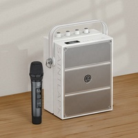 Custom 40W 8inch Boomboxes Professional Portable Smart Bluetooth Speakers with DC chargre &wireless mic