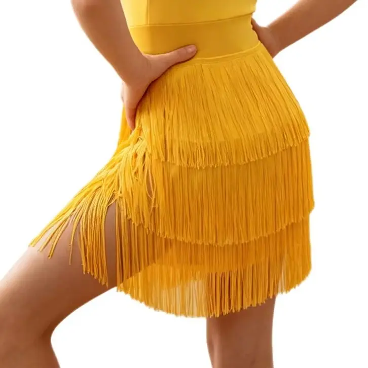 

Kids Girls Tassel Latin Dance Leotards Dress Ballroom Dancewear Sleeveless Keyhole Back Mesh Patchwork Dress for Performance