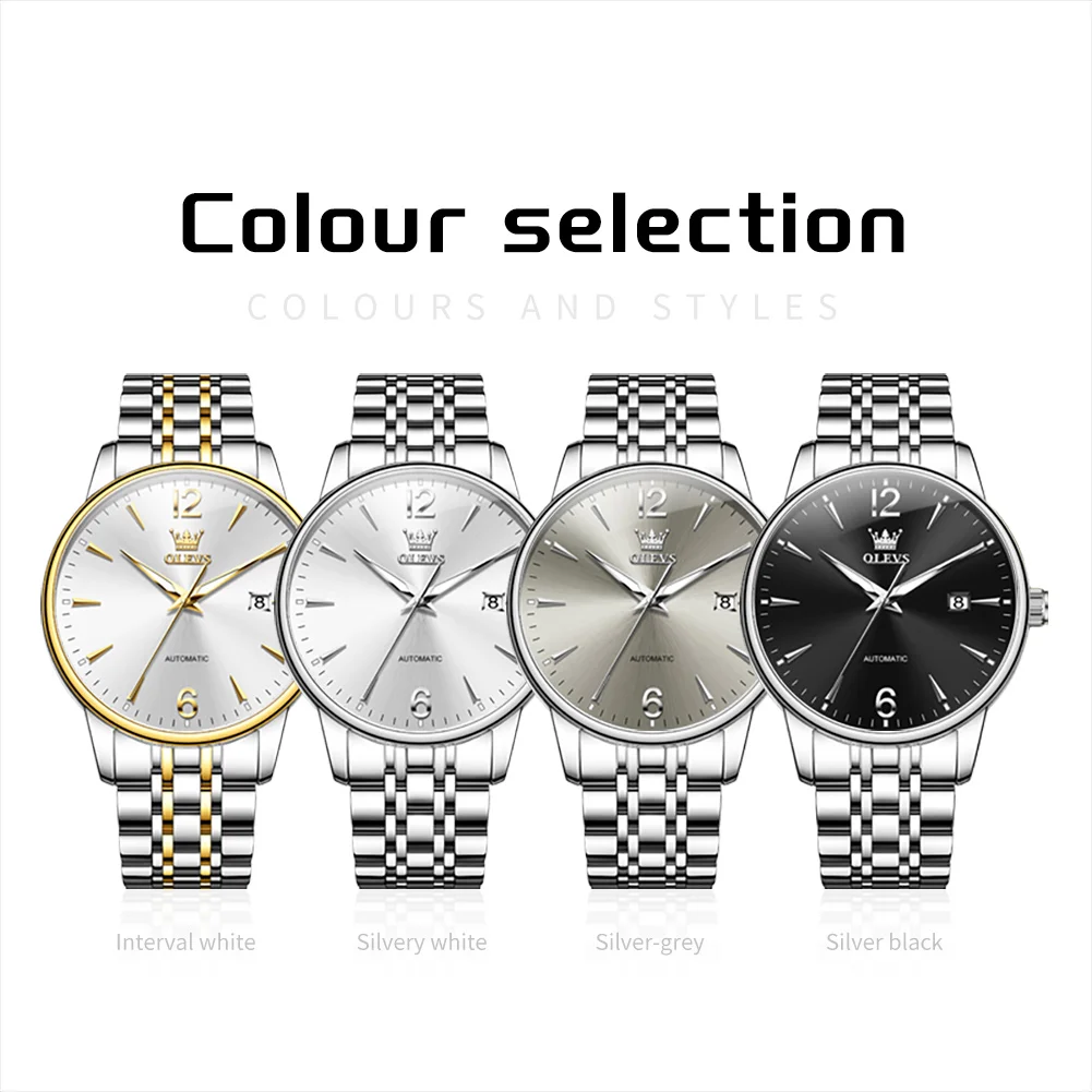 Men's Luxury Automatic Watch, Gold Silver