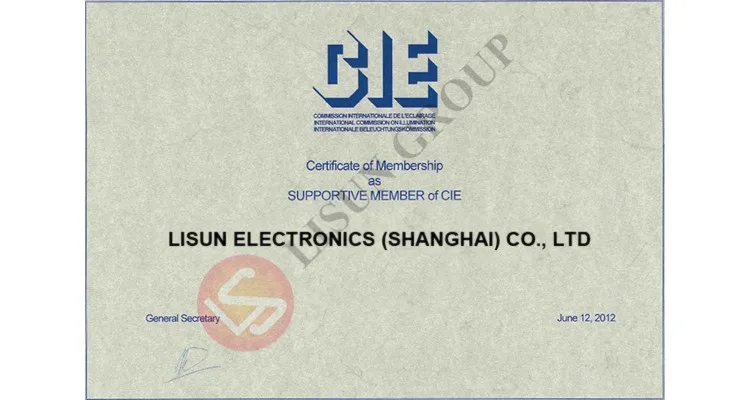 IEC 62368 Durchmesser 1 mm Länge 20 mm Anschlusssonde