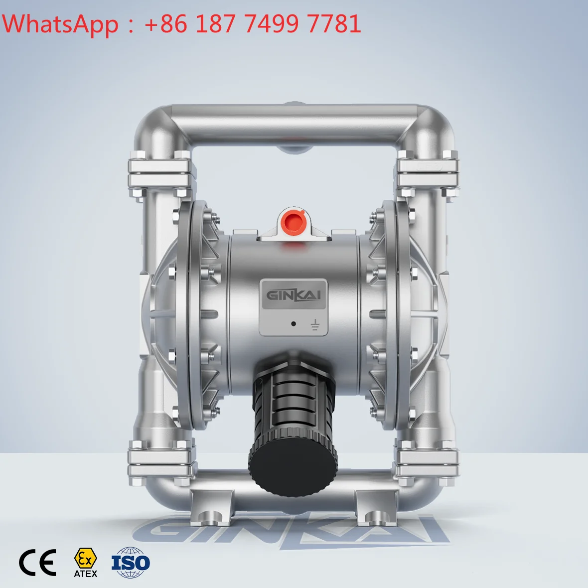 1 Inch Stainless Steel AODD Pump Corrosive Acid Solvent Slurry Industrial Chemical Transfer Pump