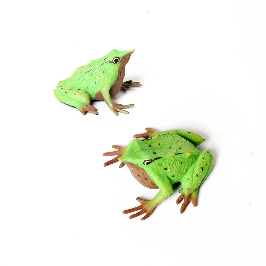 Rainforest Animals Frogs Figurki Drzewo Żaba Rana Bullfrog Squishy Figurka akcji Zabawka Zwierzęta Figurki Dzieci Zabawki Prezenty dla dzieci