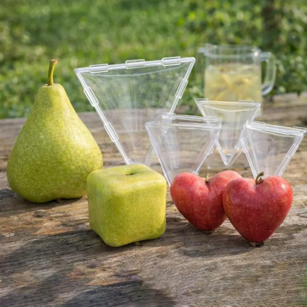 Fruit Shaping Mold for Growing Unique Triangular Cubic Fruits Transparent Plastic Mold Reusable Vegetable Fruit Growing Mold for