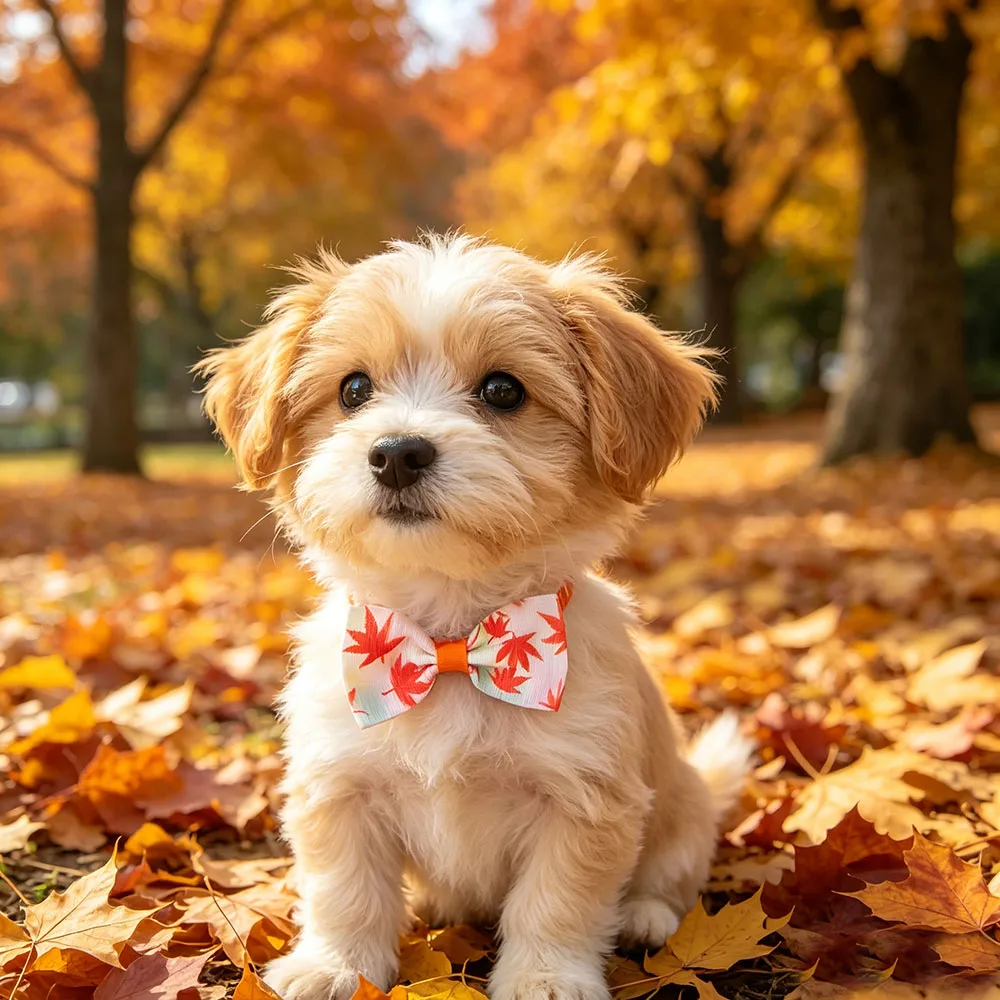 10 PCS Color in Random Thanksgiving Fall Dog Collar Bow Autumn Dog Collar Pet Maple Leaves Pumpkin Pet Bowtie for Small Medium