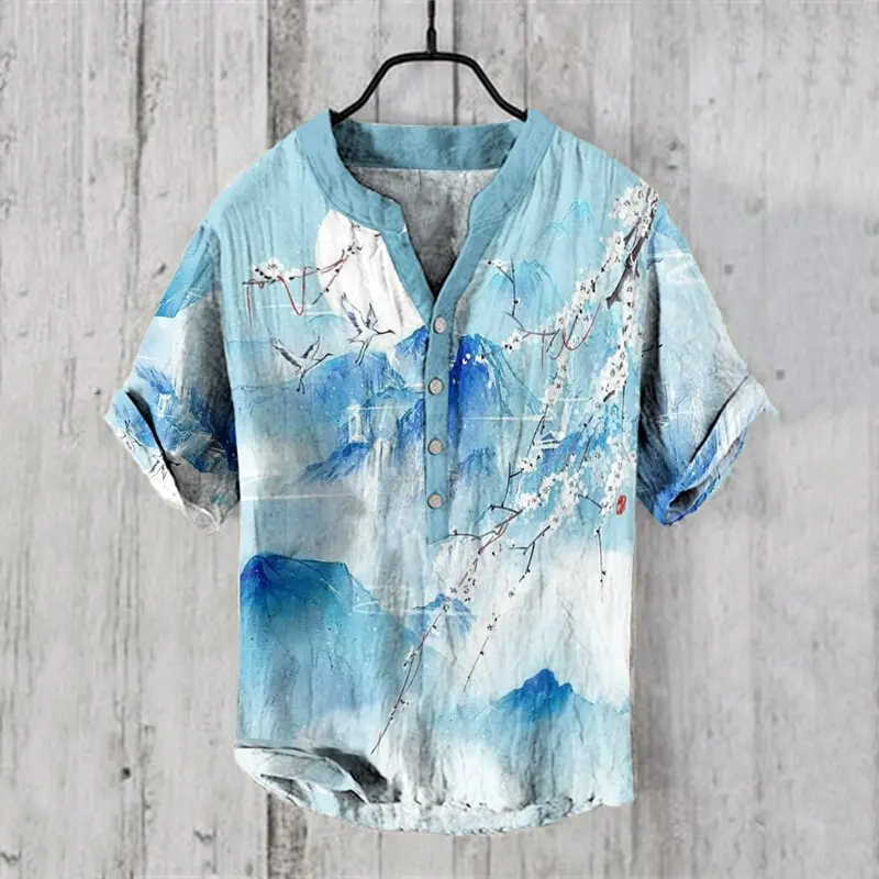 

Fashion men's 3D retro Amazon cross-border men's tops fresh style vacation short-sleeved shirt loose street hip-hop beach V-neck