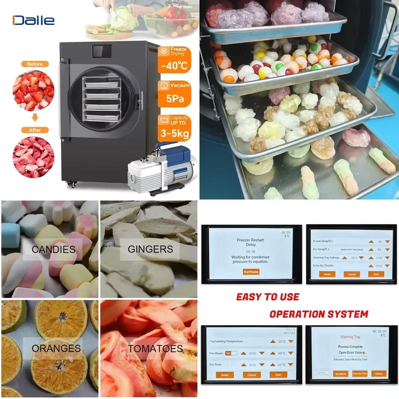 110V Touch Screen Automatic Home Food Dehydrator Freeze Dryer Machine for Candy Pet Fruit Vegetable Preservation US Plug