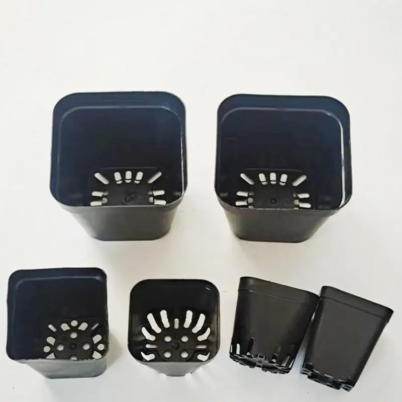 Thumbnail 4 - #67 New Plant Pots Arrivals