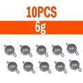 10pcs 6g