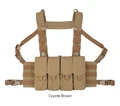Coyote Brown