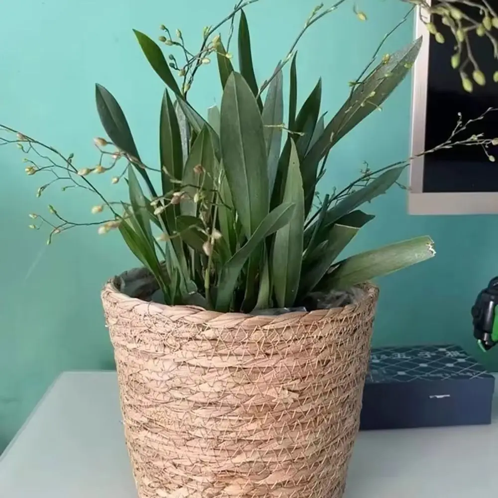 1 Stück Rattan-Blumentopfkorb für Gartenterrassen, Pflanzkorb, aus Gras geflochtener Blumentopf, Mini-Pflanzenkorb aus geflochtenem Material – Detail 7