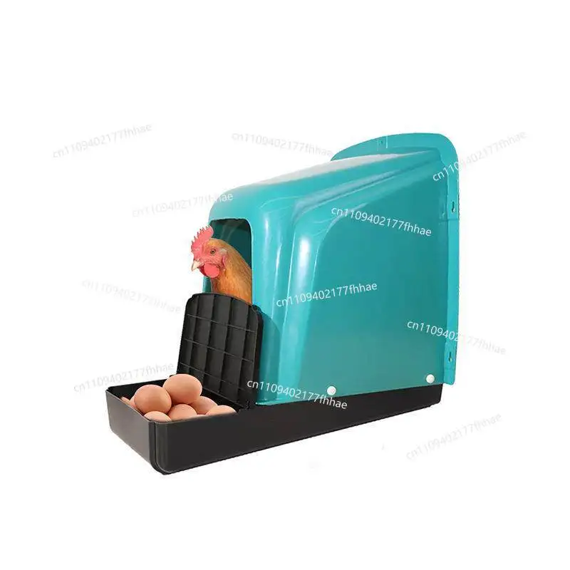 New Household Plastic Egg Box, Anti-rollover Chicken Egg Box Factory