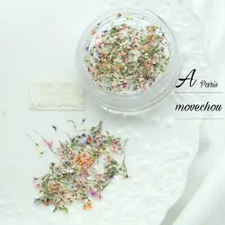 Stylish UV Glue Filler Decorative Manicure Decoration Natural Flower Nail Ornament Nail Art Flower Decoration Easy to Use
