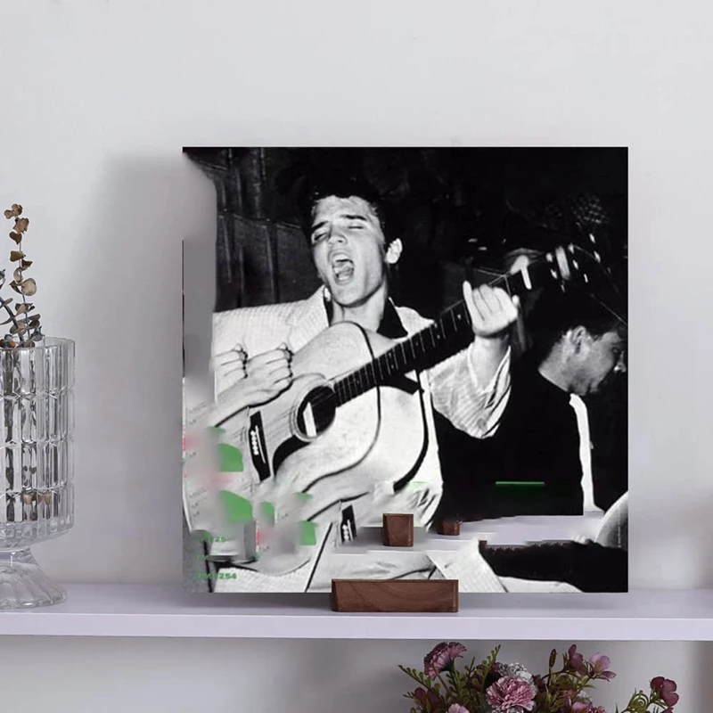 Vinil Record Display Titular, capa do álbum, Spinning Rack, jogando, mesa