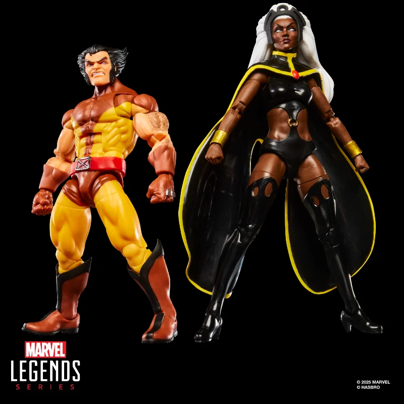 in-stock-hasbro-marvel-legends-x-men-wolverine-storm-6-inch-movable-joints-collection