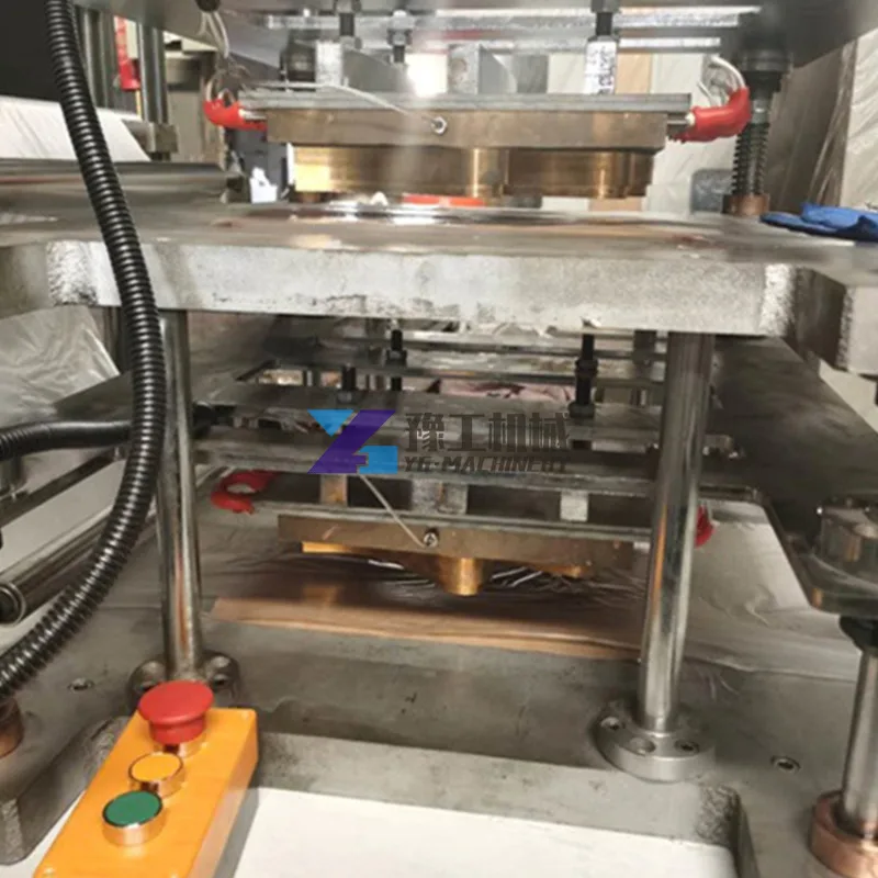 Disposable Plastic Veterinary Glove Long Sleeves Making Machine Pe Gloves Automatic Folding Making and Packing Machine