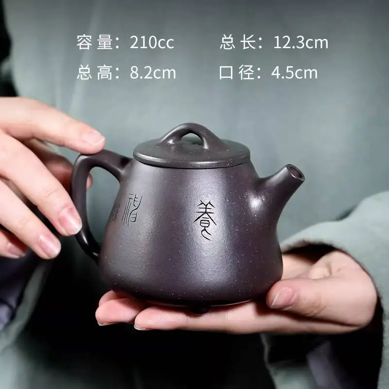 [Not Ordinary Pot]Yixing Zisha Teapot By Xu Jianjun, Handmade From Original Mineral Tianqing Clay, High Stone Bowl Shape, 210Cc