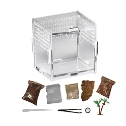 Terrarium For Reptile Snail Arcylic Breeding Box Wolf Spider Jumping Spider Snail Scorpion Durable Invertebrate Breeding Box