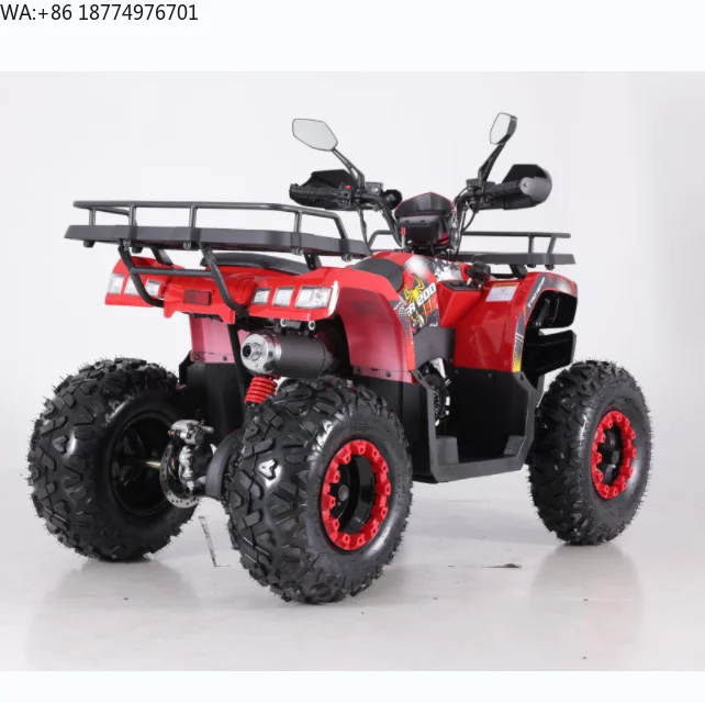 Tao Motor Warrior  200 CC ATV 4 Wheeled  Chain Drive Quad Atv 200cc ATV for 2 Passengers With EPA ECE