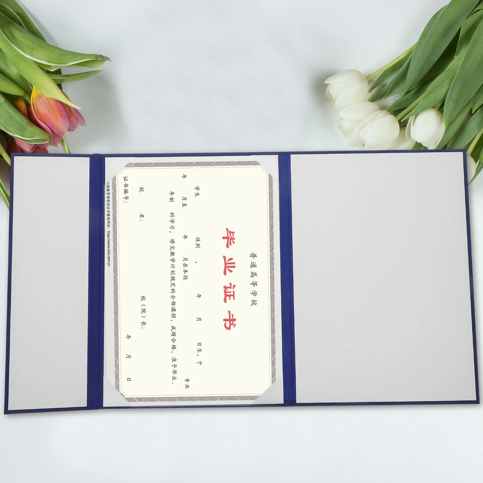 

Certificate Cover Holder Award Major Diploma for Ceremony Folder Paper Display Graduation