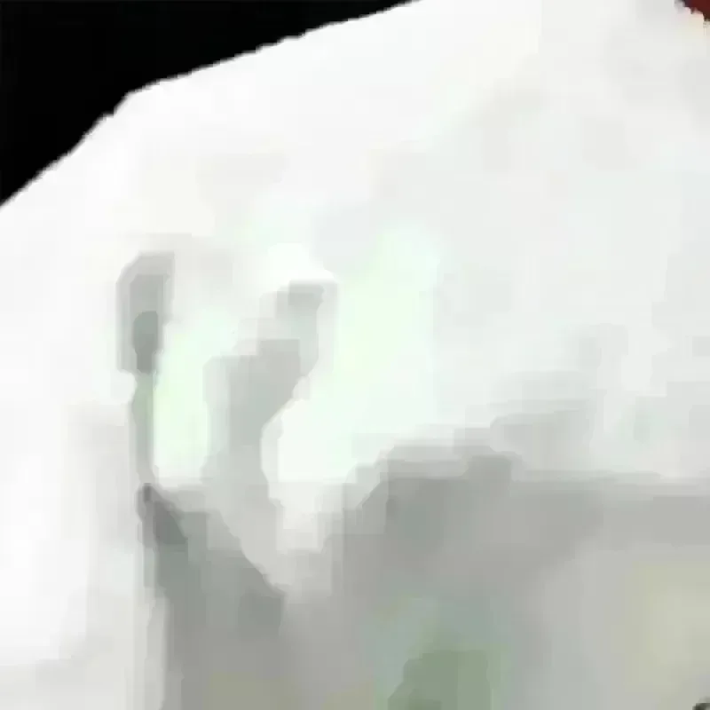 بطانية مريحة من الفلانيل مطبوعة على شكل كلب وأزهار - رمي ناعم ودافئ للقيلولة والتخييم والسفر | هدية مثالية لمحبي الحيوانات الأليفة والأصدقاء والعائلة #5