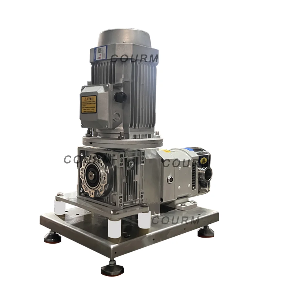 

High Performance Food Grade Chemical Rotary Hand Pump Oil Rotary Gear Pump CE Electrical High Viscosity Transfer Pump