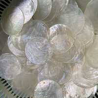 100PCS DIY Lighting Fixture Wind Chime Accessories Semi Transparent Soft Shell Circular Double Hole Mirror Raw Materials 50mm