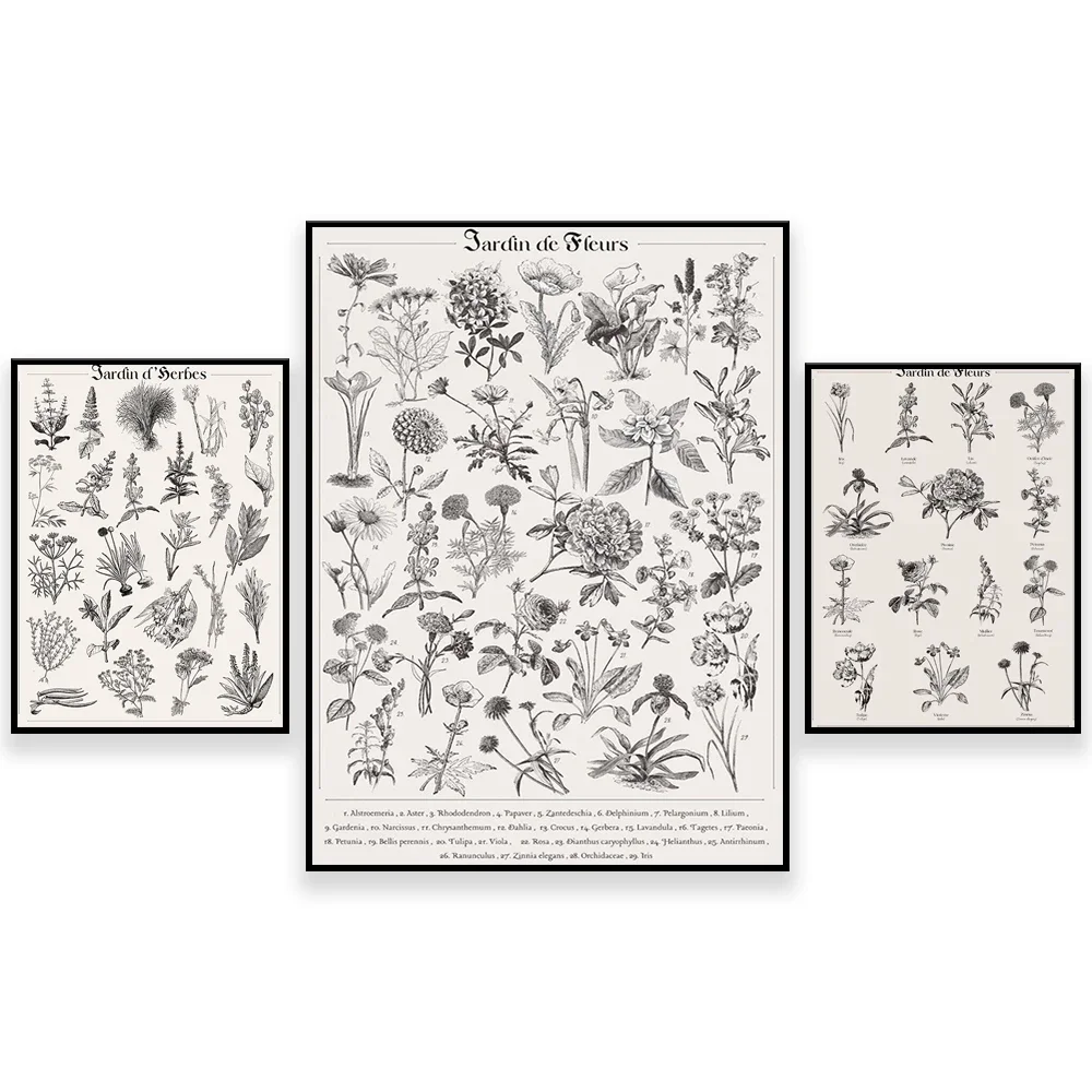 Botanical Herb Prints, Magic Herb Prints, Vintage Inspired Prints, Garden Art, Botanical Floral Prints Kitchen Decor Posters